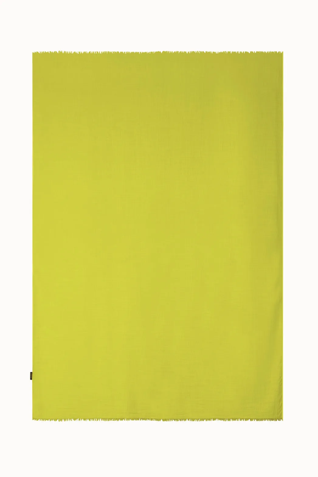 Cashmere Silk Scarf